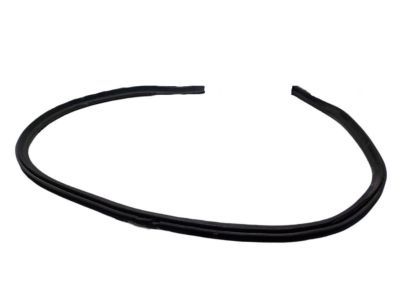 Chrysler PT Cruiser Weather Strip - 4724930AB