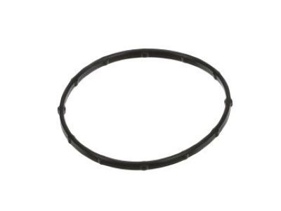 Jeep 68223608AA O RING