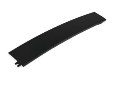 Dodge 4806147AB APPLIQUE Front Door