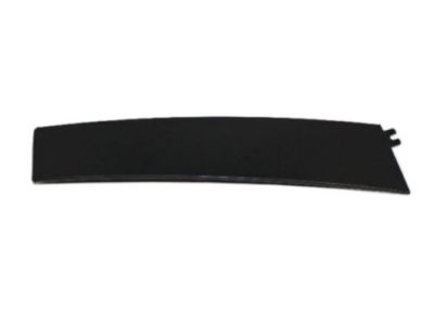 Dodge 4806147AB APPLIQUE Front Door