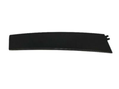 Dodge 4806147AB APPLIQUE Front Door