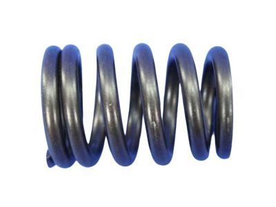 Jeep 53010388 SPRING Valve