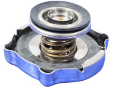 Ram 55111361AA CAP Radiator
