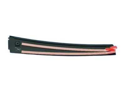Mopar 57010428AB Applique Rear Door