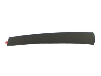 Mopar 57010428AB Applique Rear Door
