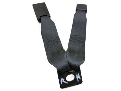 Mopar 1GD221DVAA Buckle, Gray, Rear Inner Passenger Side