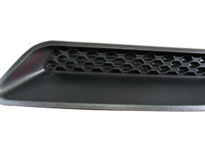 Ram 68071012AA BEZEL Hood