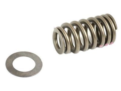 Jeep 68080909AA SPRING KIT Valve Damperless Includes New 1mm Valve Seat See Note