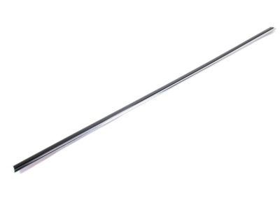 2006 Dodge Magnum Door Moldings - WG18AXRAC