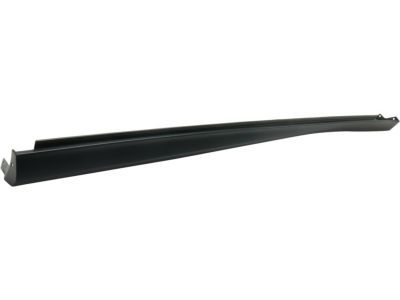 Dodge 1QA50TZZAF Rocker Molding