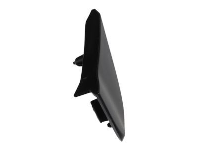 Mopar 5178150AD Applique, Front Passenger Side