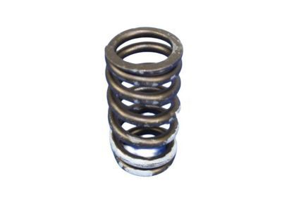 Dodge 53021056 SPRING Valve