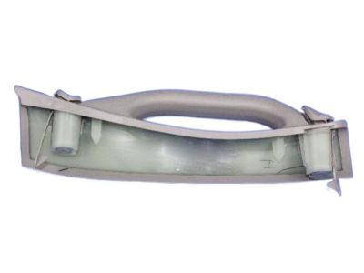 Dodge 1AR41ES3AH HANDLE Grab