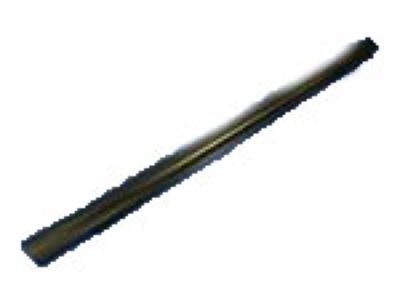 Chrysler 1TC50TZZAB Rocker Molding