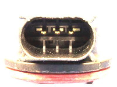 Mopar 68004162AA Socket Tail, Stop, And Turn Lamp