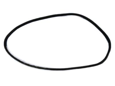 Dodge 55399256AC WEATHERSTRIP Front Door Secondary