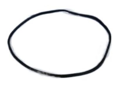 Dodge 55399256AC WEATHERSTRIP Front Door Secondary