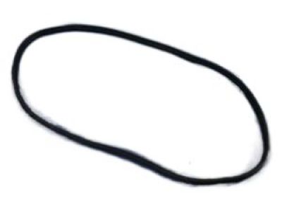 Dodge 55399256AC WEATHERSTRIP Front Door Secondary