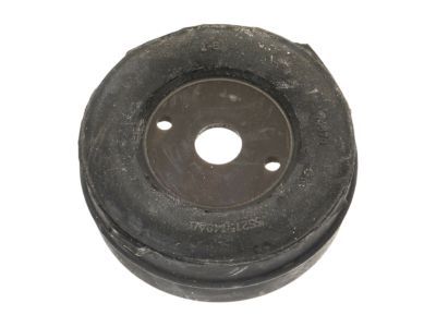 Dodge 55276257AB CUSHION Body Hold Down