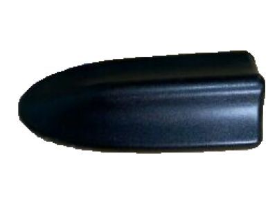 1998 Dodge Ram 3500 Door Moldings - 55076887AA