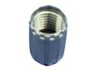 Jeep 68023890AA CAP KIT Valve Stem Grey