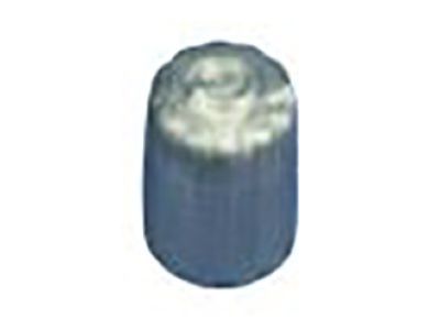 Jeep 68023890AA CAP KIT Valve Stem Grey