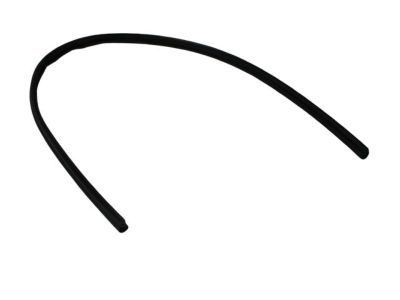 Dodge 68020142AA WEATHERSTRIP Hood to Cowl
