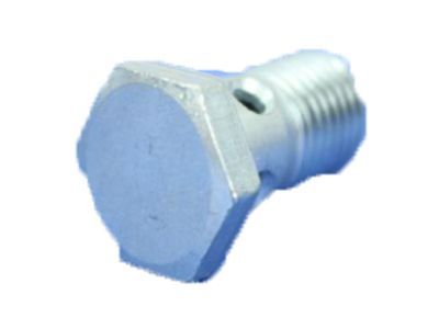 Ram 4429135 BOLT Banjo
