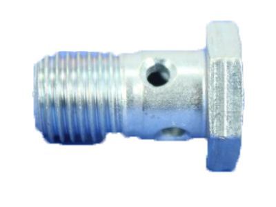 Ram 4429135 BOLT Banjo
