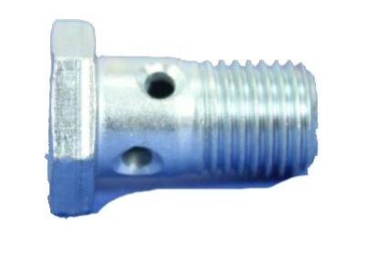 Ram 4429135 BOLT Banjo
