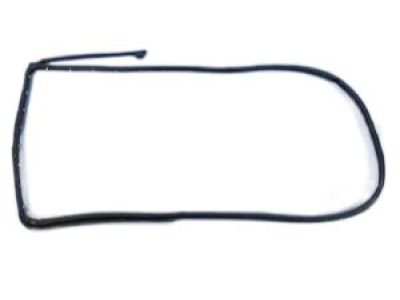 Ram 5500 Door Seal - 55112363AE