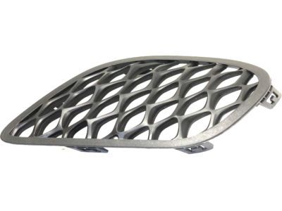 Mopar 68280492AA Lamp Cover, Front Passenger Side