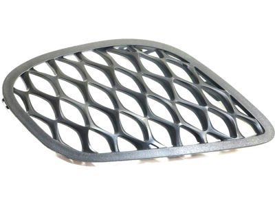 Mopar 68280492AA Lamp Cover, Front Passenger Side