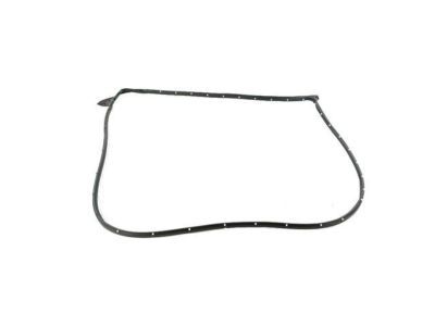 Ram 55112357AC WEATHERSTRIP Front Door Mounted