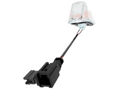 Ram 68232472AB LAMP Cab Includes Seal