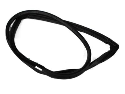 Jeep Wrangler Door Seal - 55395719AK