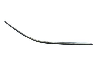Dodge Challenger Door Seal - 4575902AF