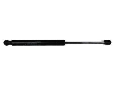 Mopar 68061369AA Lift Cylinder