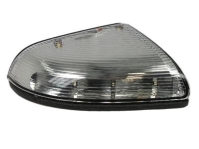 Ram 68064949AA LAMP Turn Signal