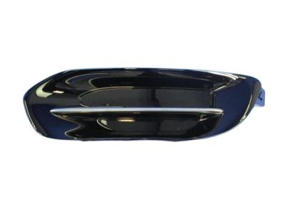 Mopar 68163980AA Lamp Cover, Front Passenger Side