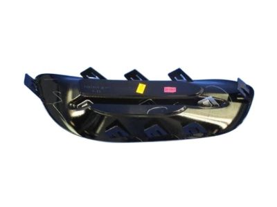 Mopar 68163980AA Lamp Cover, Front Passenger Side
