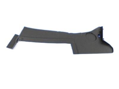 Dodge 5028749AD Sight Shield