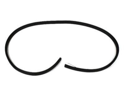 Jeep Compass Weather Strip - 5074641AC