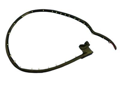Dodge Viper Weather Strip - 4865564AD