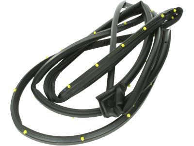Ram 5500 Door Seal - 55112362AD
