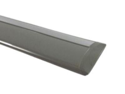 Dodge WU14AXRAA MOLDING Front Door