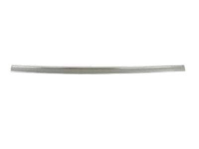 Dodge WU14AXRAA MOLDING Front Door