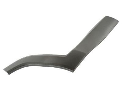 Mopar 5VX88LXHAA Molding Rear Door, Passenger Side
