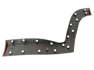 Mopar 5VX88LXHAA Molding Rear Door, Passenger Side