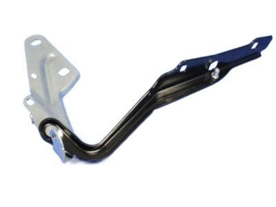 Mopar 55372575AD Hinge, Front Driver Side
